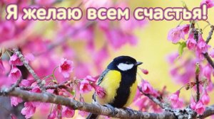 Молитва за мир во всем мире! Live 14.05.2026