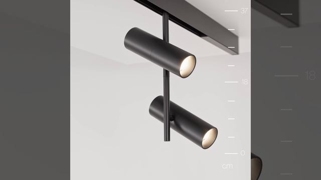 Светильник Maytoni Exility Elti Duo TR005-2-2X12W4K-B смотреть онлайн