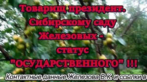 Товарищ президент. Сибирскому саду Железовых -  статус ГОСУДАРСТВЕННОГО !!!