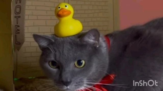 ВОПРОС ОТВЕТ 4 ЧАСТЬ