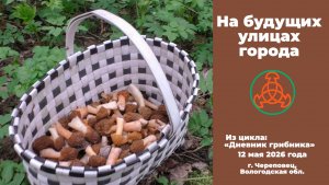 На будущих улицах города!  «Дневник грибника» 12 мая 2026 года.
