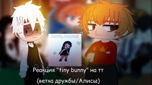 Зайчик реакция на Тик Ток / Одноклассники Антона и сам Антон / 2 часть / Гача реакция / Tiny Bunny