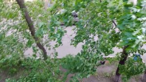 НА БАЛКОНЕ СНИМАЮ,НАДО ИЛИ НЕТ ЗАСТЕКЛЯТЬ ЕГО?