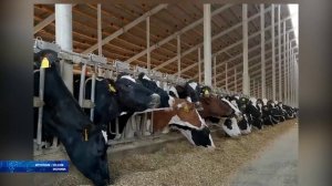 Из Воронежской области, на экспорт, было отправлено более 56 000 тонн сельскохозяйственной продукции