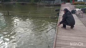 Поимки форели до запуска. РК Липки.