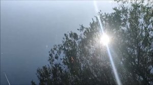 Рыбалка на Шиловском озере, мкр. Шилово, г. Воронеж, 13.05.2026 года
