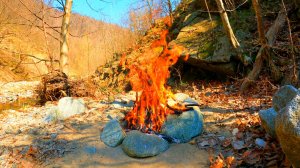 🔥 ЗВУК КОСТРА И ПЕНИЕ ПТИЦ ДЛЯ СНА 3 ЧАСА ✨ УСПОКАИВАЮЩИЕ ЗВУКИ ПРИРОДЫ ДЛЯ СНА И КОСТЕР В ЛЕСУ