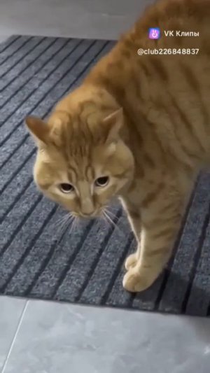 ыдыы яЩ Джо влжахыажыэаэжввэ