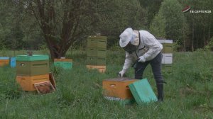 Малый агробизнес в Серпухове благодаря народной программе «Единой России»  получает господдержку