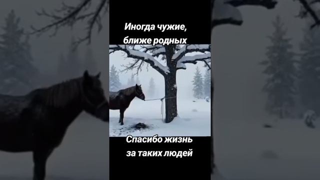 Спасибо жизнь за таких людей смотреть онлайн
