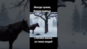 Спасибо жизнь за таких людей