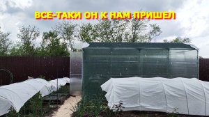 80. Переезд Юг. Он меня обманул, купил все в местном магазине Наплакали дождя.