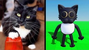 УЧУ СВОЮ КОШКУ ИГРАТЬ В РОБЛОКС