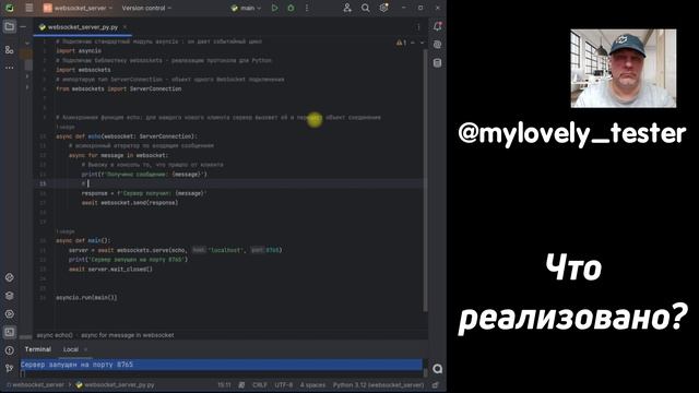 Пишем клиент‑серверное приложение на стеке Python + WebSockets смотреть онлайн