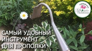 КОРОЛЕВА ПРОПОЛКИ