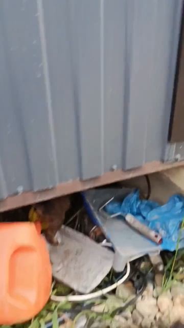 Так выглядит наивысшее доверие