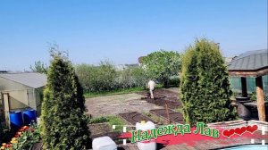 День на участке: картошка, тюльпаны и сало по‑венгерски🥔🌷🧸