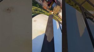 1000111241.mp4