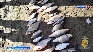 В Слободском районе полицейские задержали браконьеров