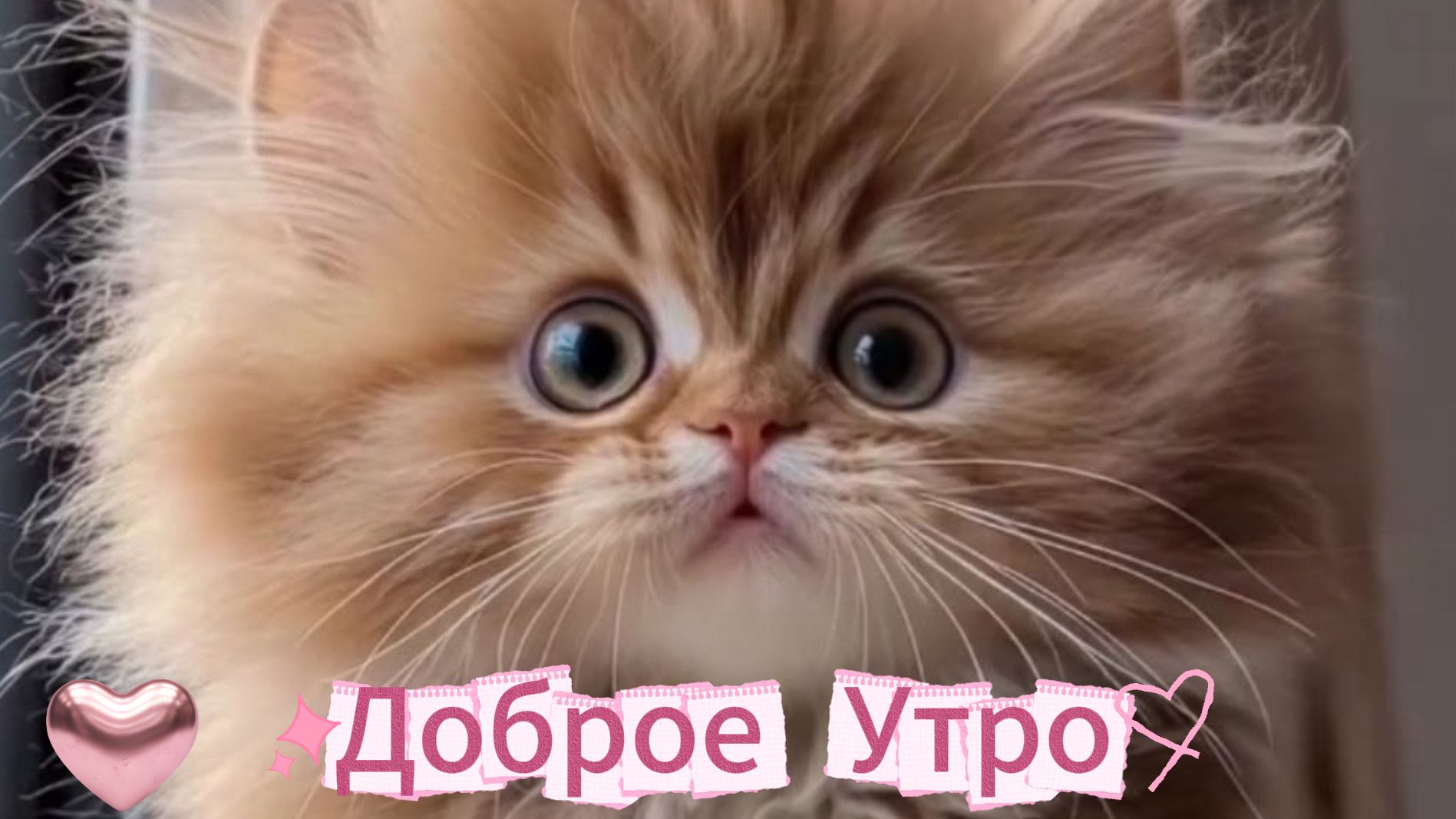 Доброе утро: открытки и пожелания | Домохозяйка