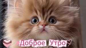 Доброе утро: открытки и пожелания | Домохозяйка