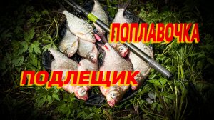 Поплавочная рыбалка | Подлещик берёт!