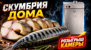 СКУМБРИЯ холодного копчения: Большинство портят рыбу на этом этапе