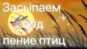 Засыпаем под Пение птиц .
Релакс.Закат солнца  в деревне