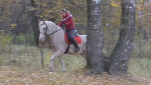 Захарово. Между Голицыным и Звенигородом