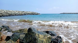 ОАЭ. МОРЕ, КРАБЫ. ФУДЖЕЙРА. ОМАНСКИЙ ЗАЛИВ