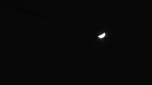 [moonnight] Рис с баклажанами. Лес в Сеуле. Светильник мечты в винтажном магазине.