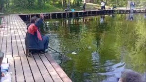 Утро на Спорт-зоне. Клёвое место Лосиный остров.