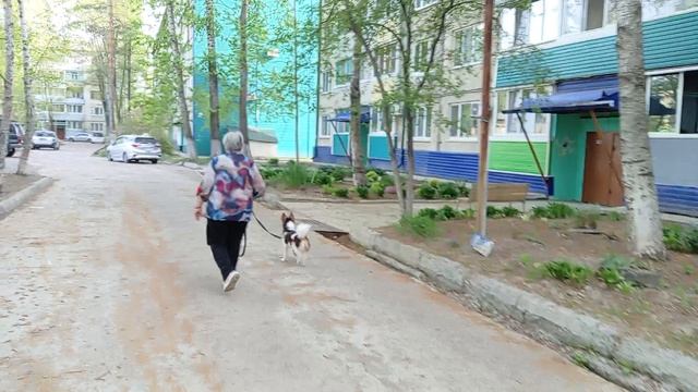1000028044.mp4 смотреть онлайн