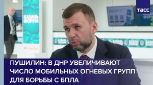 Пушилин: в ДНР увеличивают число мобильных огневых групп для борьбы с БПЛА
