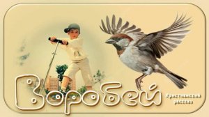 📗 «Воробей» ~ РАССКАЗ Христианский ~ для ДЕТЕЙ☀️