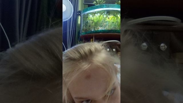 подписка смотреть онлайн