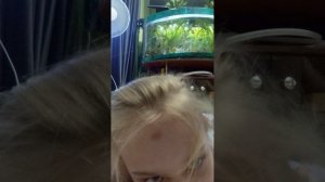 подписка