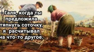 Агрофитнесс