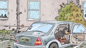 BACK TO THE VET - Full Colour Special