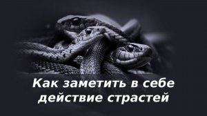 Как заметить в себе действие страстей
