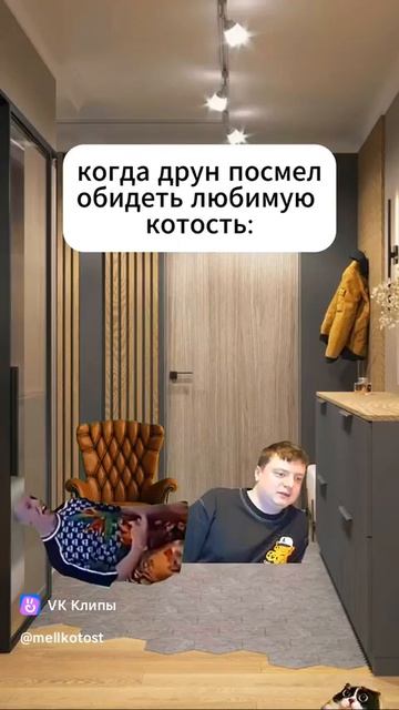 Котость