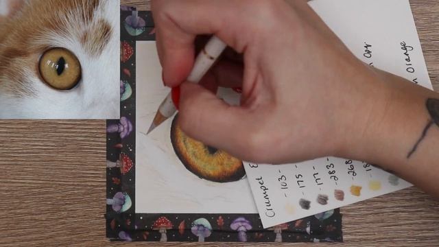 🐾 New Tutorial Release - Ginger & White Cat With Bright Orange Eye