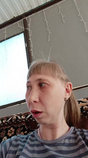к нам приблудилась собака девочка