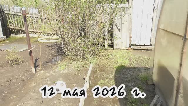 Дача. 12 мая 2026 г. Тюмень