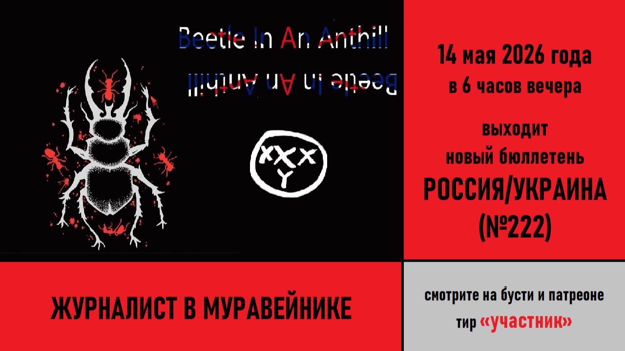 Журналист в муравейнике