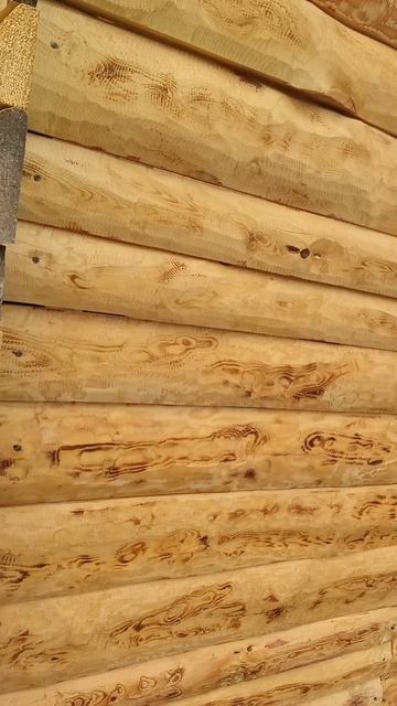 стена из горбыля+ покрыл маслом, смотреть онлайн