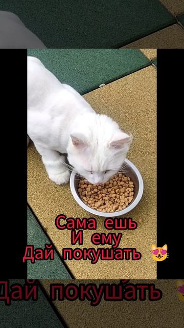 Привет, парень😻#новинка