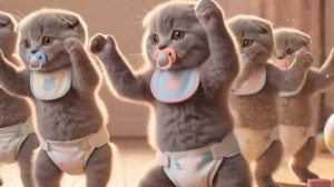 КОТИКИ очень МНОГО котиков😁