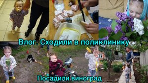 Домашний влог.Сходили в поликлинику.Покупки. ясажаем сад.