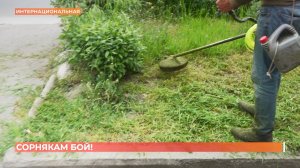 В Ростове активно ведутся работы по покосу  сорной растительности